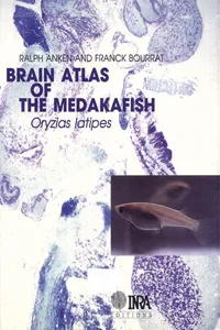 Brain atlas of the medakafish_cover
