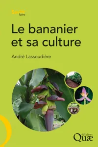 Le bananier et sa culture_cover