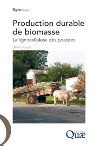 Production durable de biomasse_cover