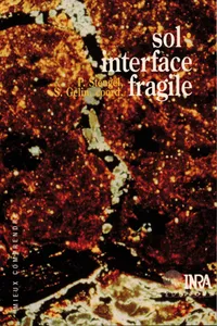 Sol : interface fragile_cover