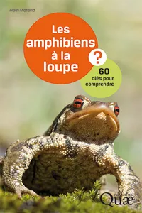 Les amphibiens à la loupe_cover