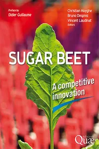 Sugar beet_cover