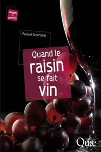 Quand le raisin se fait vin_cover