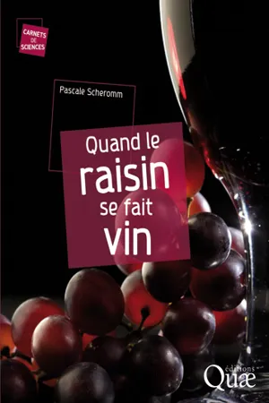 Quand le raisin se fait vin