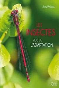 Les insectes, rois de l'adaptation_cover