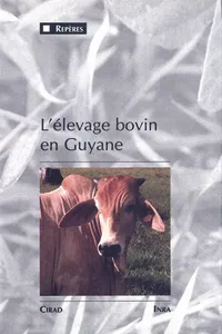 L'élevage bovin en Guyane_cover