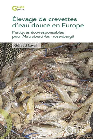 Élevage de crevettes d'eau douce en Europe