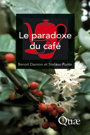 Le paradoxe du café