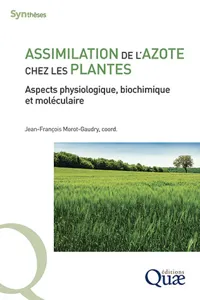 Assimilation de l'azote chez les plantes_cover