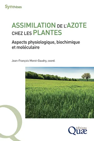 Assimilation de l'azote chez les plantes