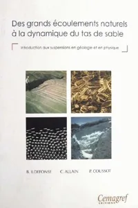 Des grands écoulements naturels à la dynamique du tas de sable_cover