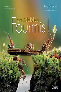 Formidables fourmis !_cover