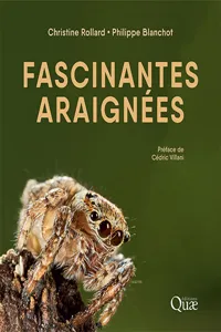 Fascinantes araignées_cover