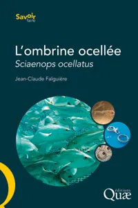 L'ombrine ocellée_cover