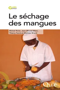 Le séchage des mangues_cover