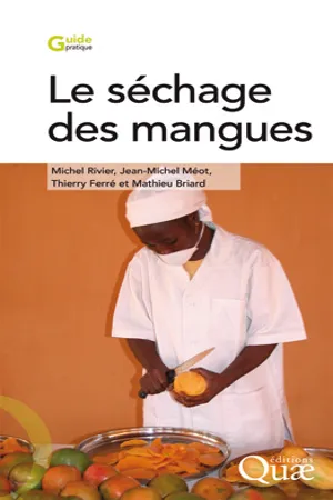 Le séchage des mangues