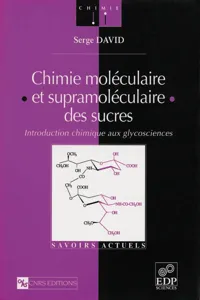 Chimie moléculaire et supramoléculaire des sucres_cover