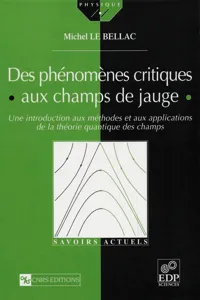 Des phénomènes critiques aux champs de jauge_cover