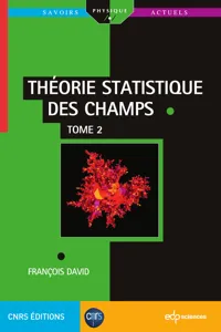 Théorie statistique des champs_cover