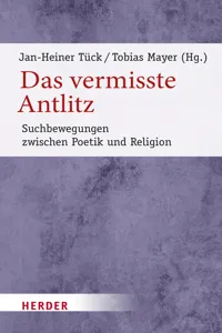 Das vermisste Antlitz_cover