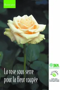 La rose sous serre pour la fleur coupée_cover