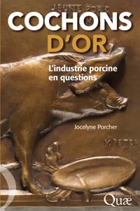 Cochons d'or_cover