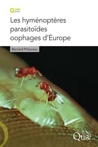 Les hyménoptères parasitoïdes oophages d'Europe_cover