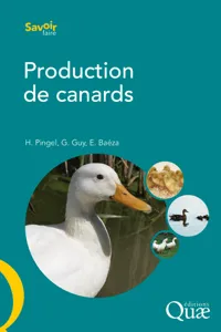 Production de canards_cover