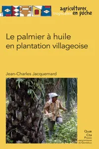 Le palmier à huile en plantation villageoise_cover