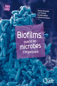 Biofilms, quand les microbes s'organisent_cover