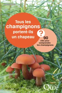 Tous les champignons portent-ils un chapeau ?_cover