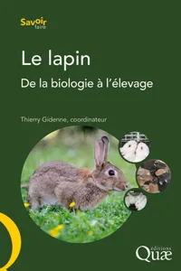 Le lapin_cover