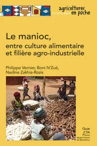 Le manioc, entre culture alimentaire et filière agro-industrielle_cover