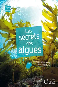 Les secrets des algues_cover