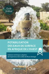 Potabilisation des eaux de surface en Afrique de l'Ouest_cover