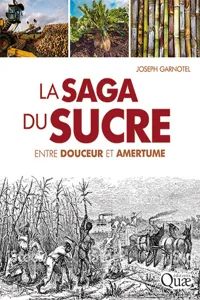 La saga du sucre_cover