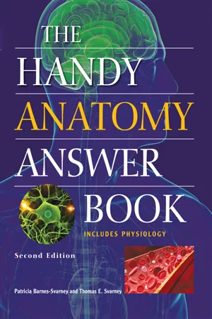 The Handy Anatomy Answer Book