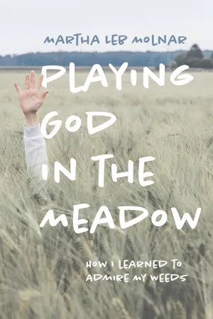 Playing God in the Meadow