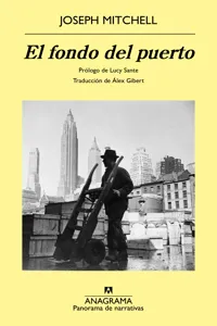 Panorama de narrativas_cover