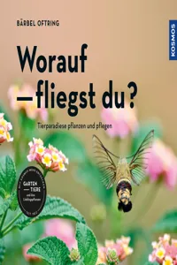 Worauf fliegst du?_cover