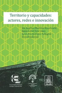 Territorio y capacidades: actores, redes e innovación_cover