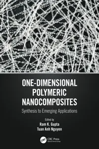 One-Dimensional Polymeric Nanocomposites_cover