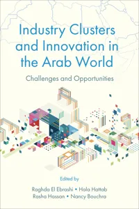 Industry Clusters and Innovation in the Arab World_cover