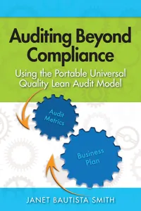 Auditing Beyond Compliance_cover
