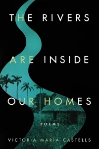 The Rivers Are Inside Our Homes_cover