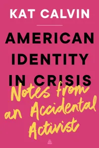 American Identity in Crisis: Notes from an Accidental Activist_cover