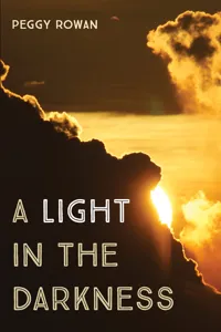 A Light in the Darkness_cover
