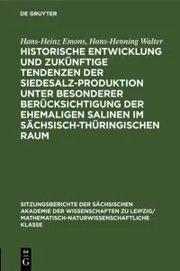 Historische Entwicklung und zukünftige Tendenzen der Siedesalz-Produktion unter besonderer Berücksichtigung der ehemaligen Salinen im sächsisch-thüringischen Raum_cover