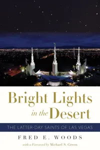 Bright Lights in the Desert_cover