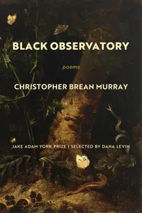 Black Observatory_cover